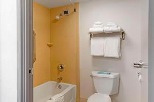 Queen Room with Two Queen Beds - Non-Smoking room in Comfort Inn & Suites Watertown