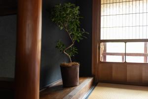 篠山城下町ゲストハウス quolo