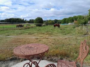 Brages Bod Bragir`s Booth