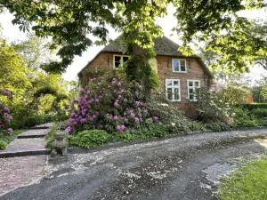 Ferienwohnung "Altes Pastorat" - Welt