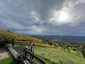 Vineyard cottage Skriti raj