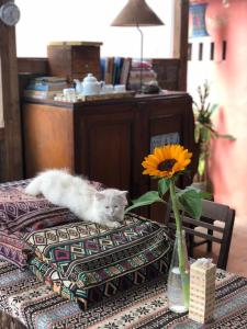 Nhiên Farm Homestay