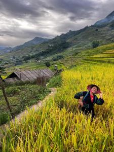 Tom Tom Ricefield Homestay and Trekking