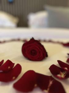 Appart'hotels Lueur de miel : photos des chambres