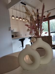 Rustig gelegen chalet Kapeki met tuin aan het water