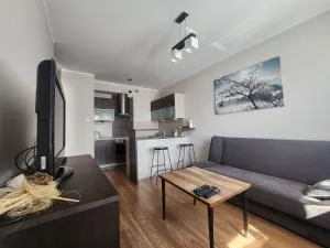 Apartament Obrońców Pokoju 36 - Zdroisko