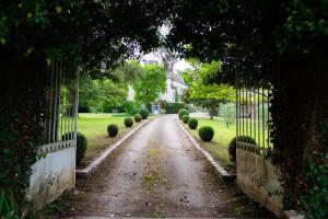 Villas Maison Cristal : photos des chambres