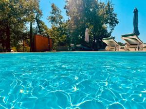 B&B / Chambres d'hotes les Bartavelles : photos des chambres