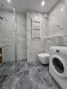 Apartament ścisłe centrum Ventus
