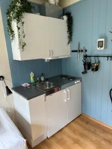 Damehuset - Tresfjord