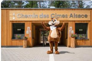 Appartements Gite Au Coin du Chene : photos des chambres