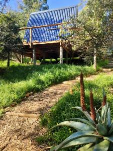 Gaia A-frame cabin