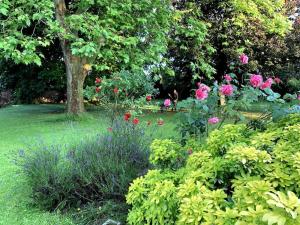 Villas Les Roseaux, 1h de Paris, Grand Jardin, Piscine : photos des chambres