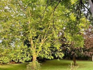 Villas Les Roseaux, 1h de Paris, Grand Jardin, Piscine : photos des chambres