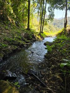 Chalé Pavão Recanto Buscapé SFX