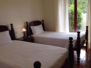 Casa da Palmeira Porto Santo