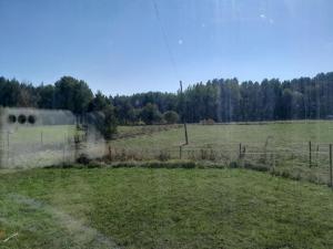 Brages Bod Bragir`s Booth