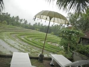 Secret Village Cozy Studio