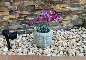 Apartamento El Mirador de La Farga - 阿尔武希耶斯