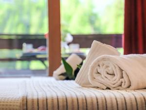 Apartment Rosablanche C22 by Interhome