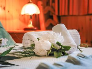 Apartment Rosablanche D51 by Interhome