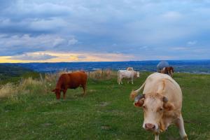 Villas Villa spacieuse -Vue exceptionnelle- Piscine : photos des chambres