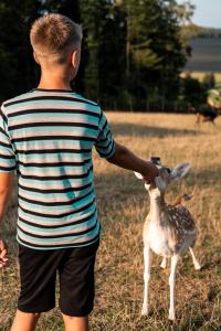 Wellness hiša Jelenov Grič