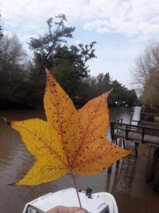 Cabaña Doña Teresa 5 Huéspedes