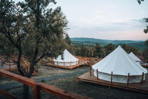 Vaideeni Glamping