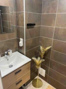 Appartements Studio vue lac centre ville : photos des chambres