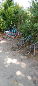 Maisons de vacances Mas en Provence : photos des chambres