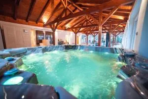 Luxusní statek Otovice s jedinečným wellness - Otovice