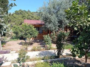 Finike Bungalow Orion