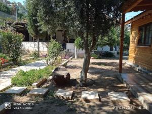 Finike Bungalow Orion