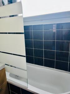 Grand studio aux portes de Genève