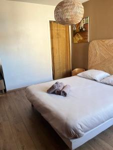 Appartements Grand studio aux portes de Geneve : photos des chambres