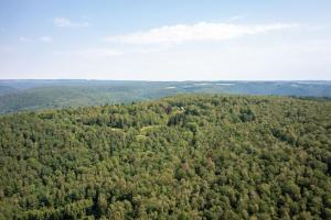 Les cabanes des Dolimarts