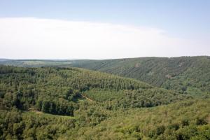 Les cabanes des Dolimarts