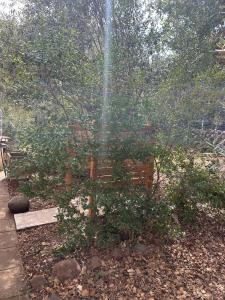 Domo Austinu - Abbasanta img15