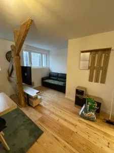 appartement en plein centre - 泰尔地区罗谢福尔