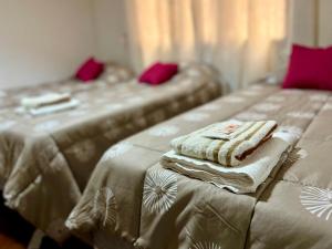 Hermoso departamento en la Peatonal de Mendoza