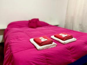 Hermoso departamento en la Peatonal de Mendoza