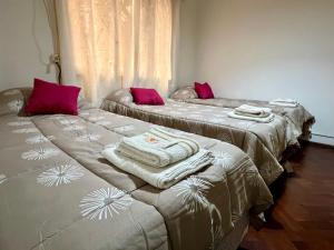 Hermoso departamento en la Peatonal de Mendoza