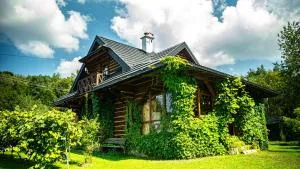 Wapienne domek - Kryg