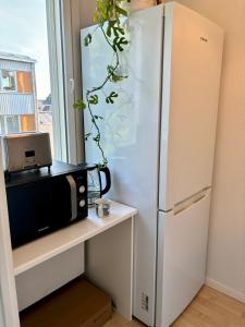 Cozy central flat next to tram and bus stations