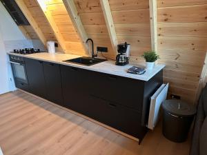 S t e e n b o k - Luxe Alpenhuis in prachtig Karinthië