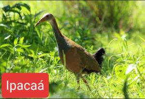 Cabaña Doña Teresa 5 Huéspedes