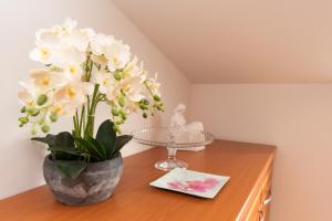 Apartments Andrijana