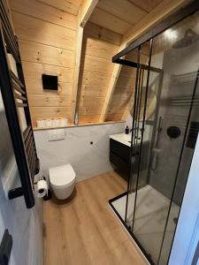 S t e e n b o k - Luxe Alpenhuis in prachtig Karinthië