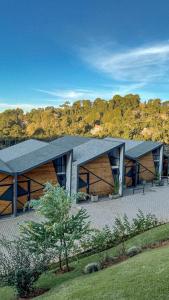 Hotel Pico 16